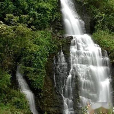 一勺猪油等于五副药?常吃猪油是养生还是有害?四种油劝你别用
