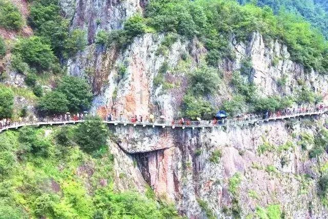 周天勇:解释货币流去哪了和展望货币还能流动到哪
