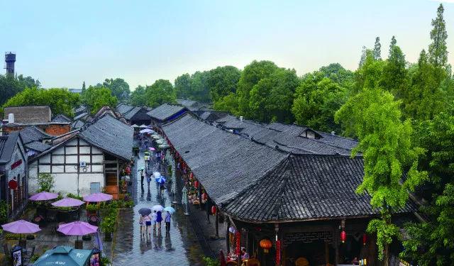 活了19年没遇到真爱，以后怎么办?游戏画面
